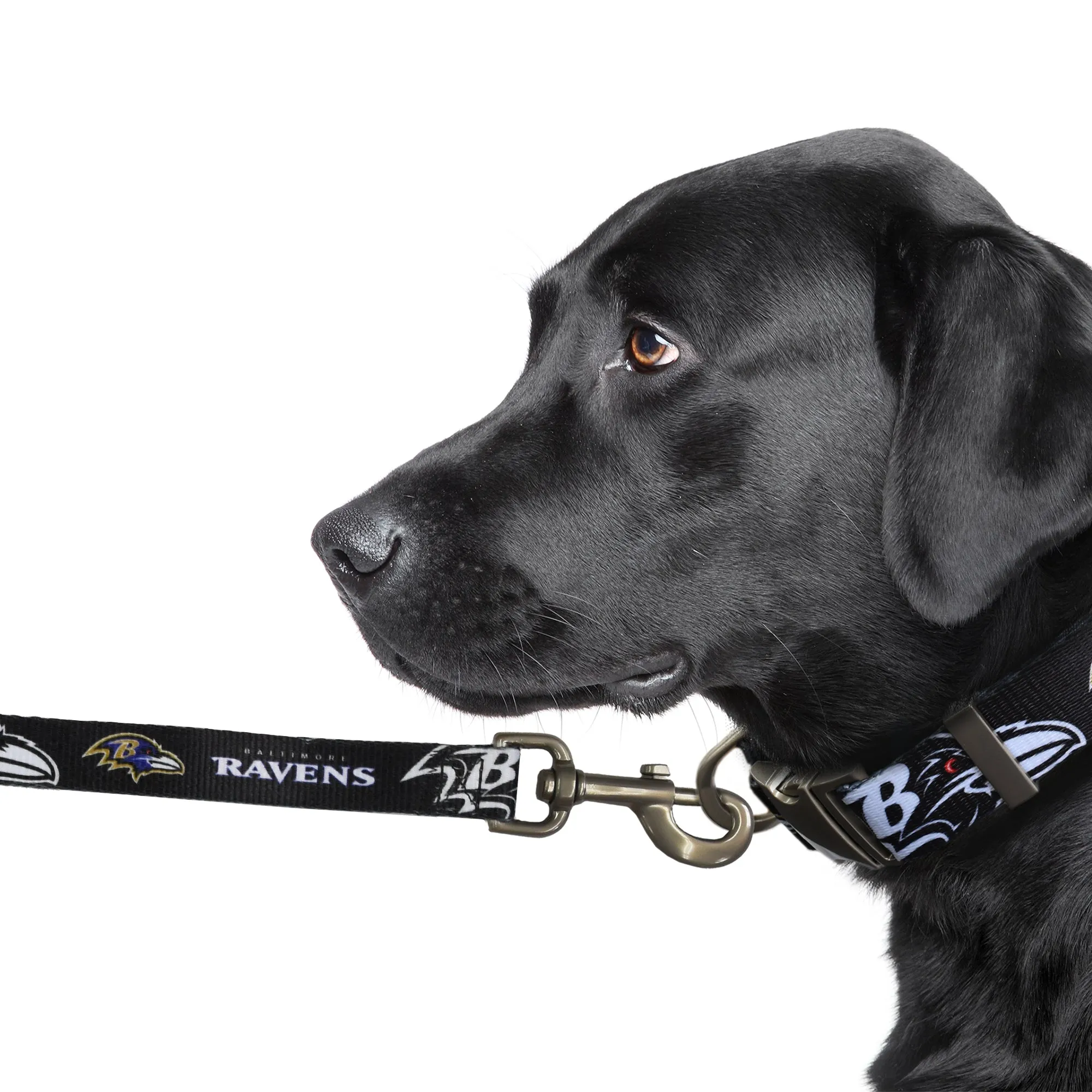Baltimore Ravens Premium Pet Lead