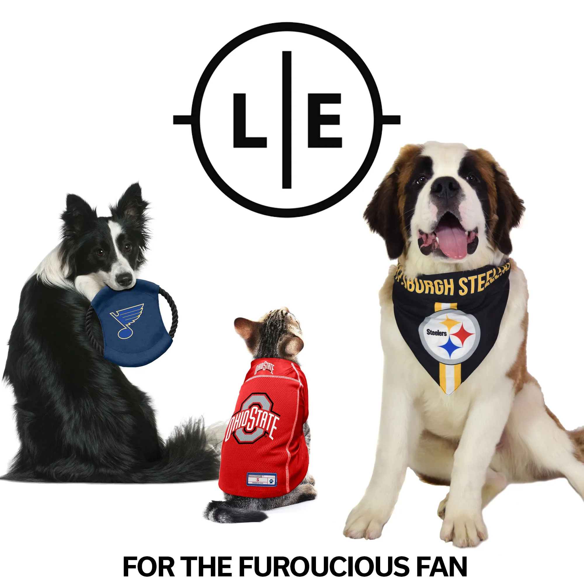 Baltimore Ravens Premium Pet Lead