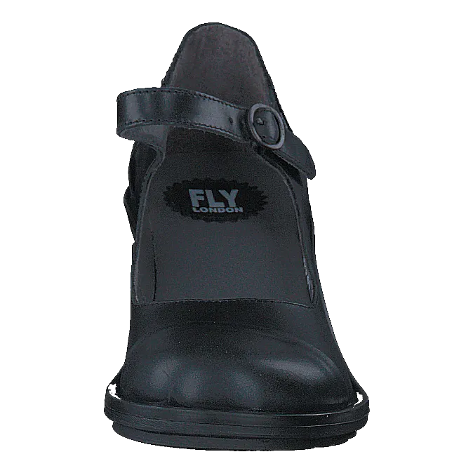 Cody877fly Rug Black
