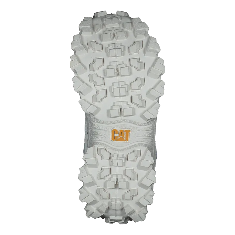 Intruder Star White