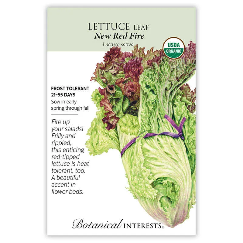 New Red Fire Leaf Lettuce Seeds