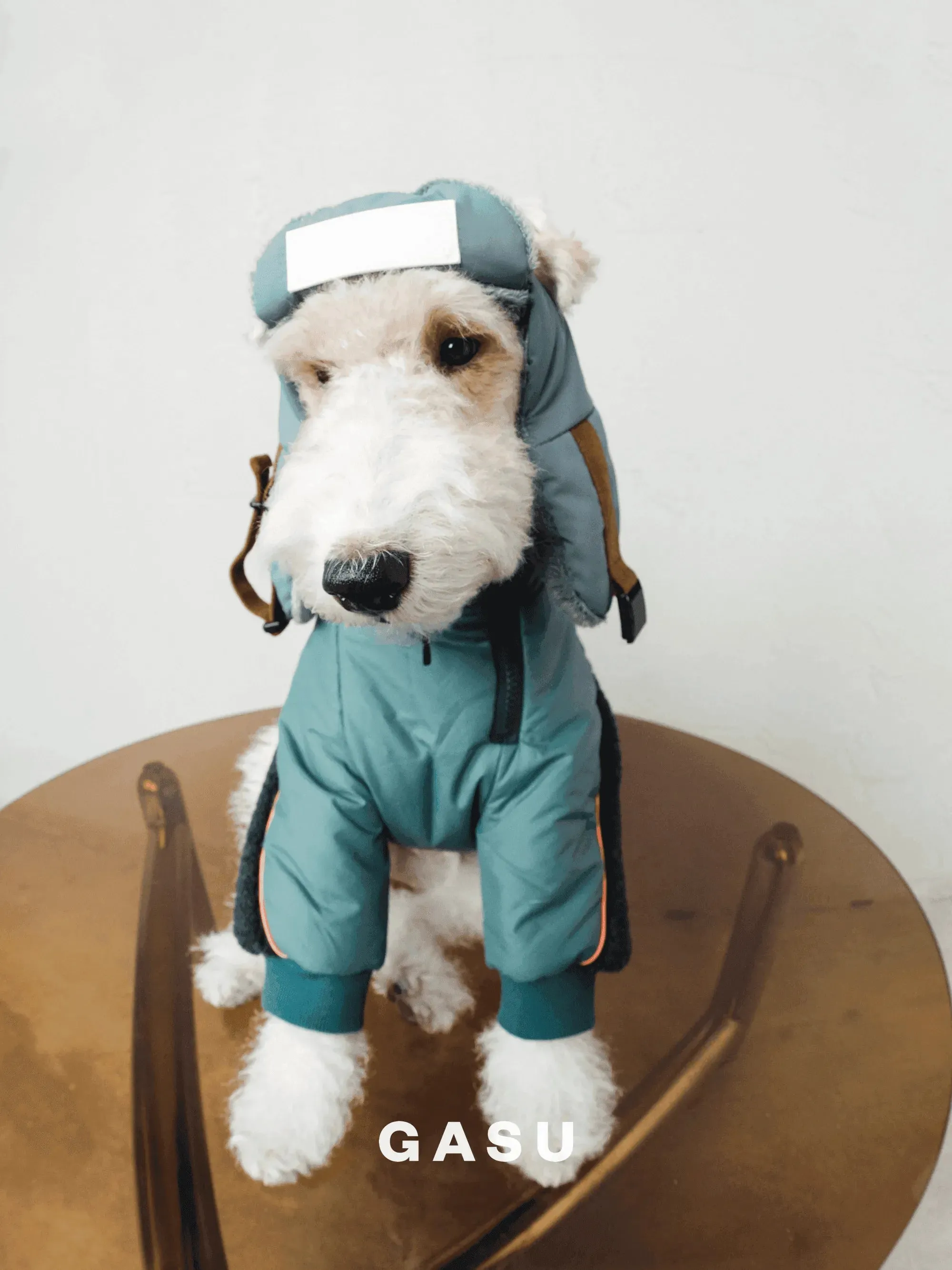 Padded Fleece Lined Aviator Dog Hat