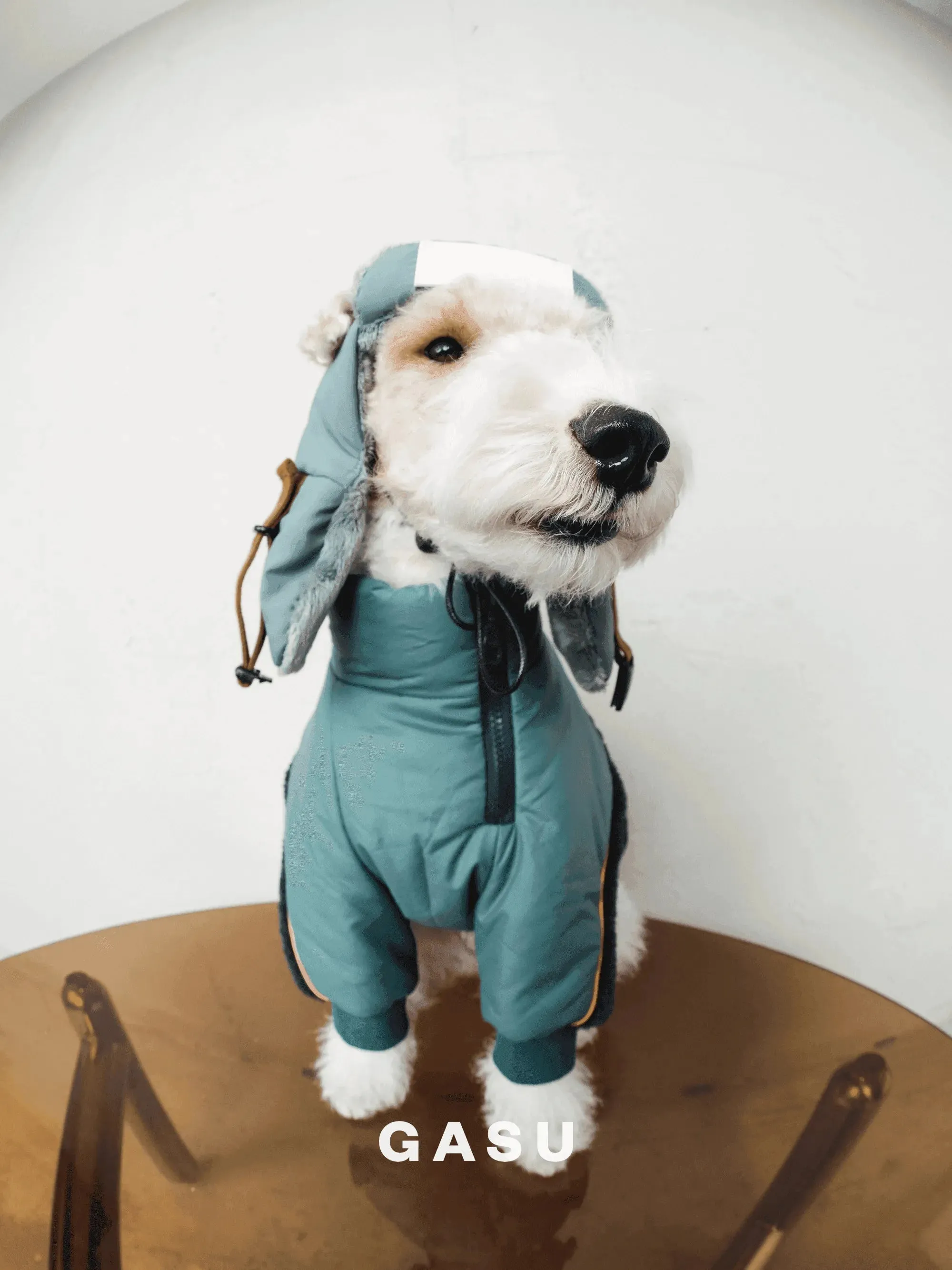 Padded Fleece Lined Aviator Dog Hat