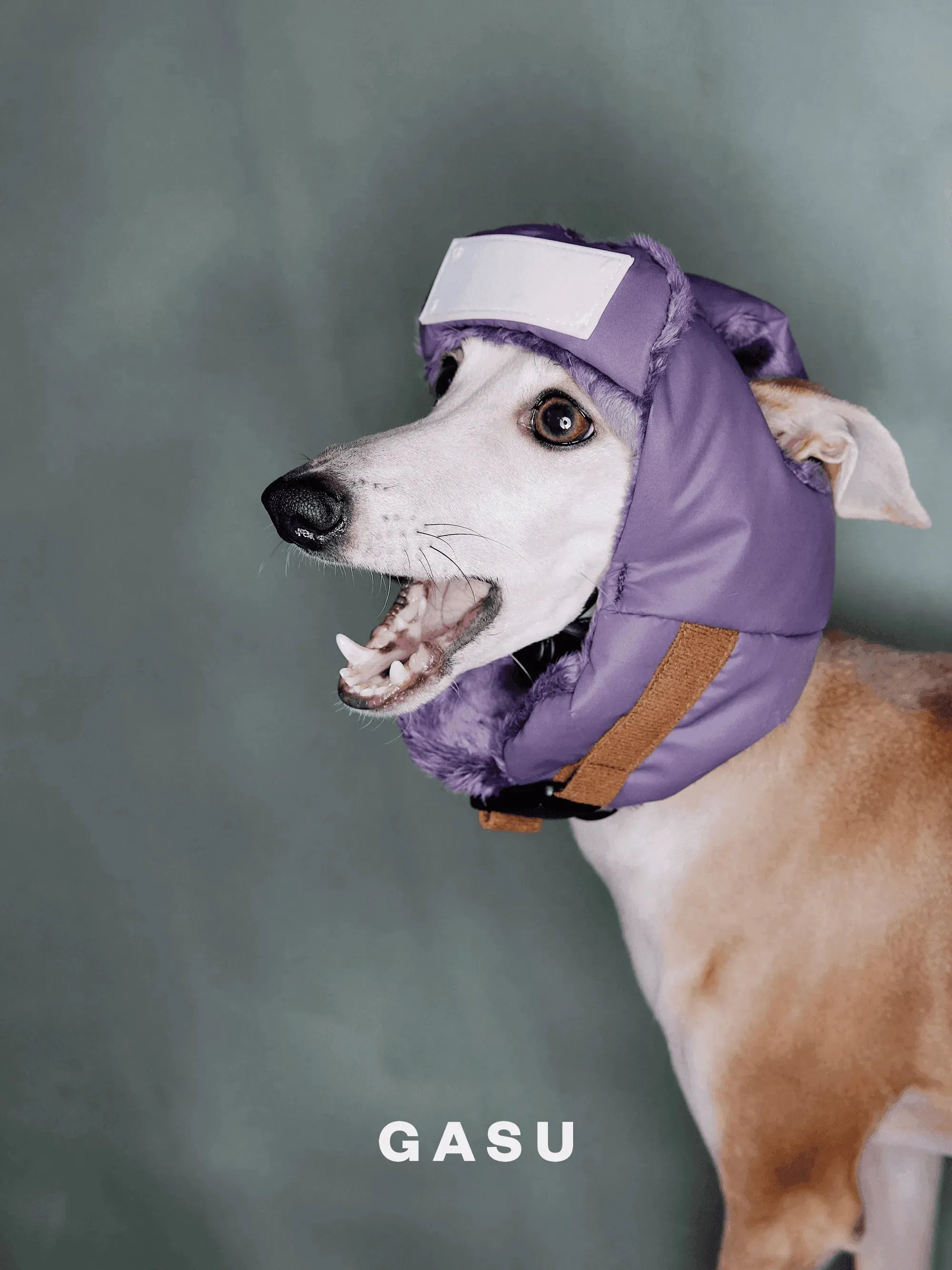 Padded Fleece Lined Aviator Dog Hat