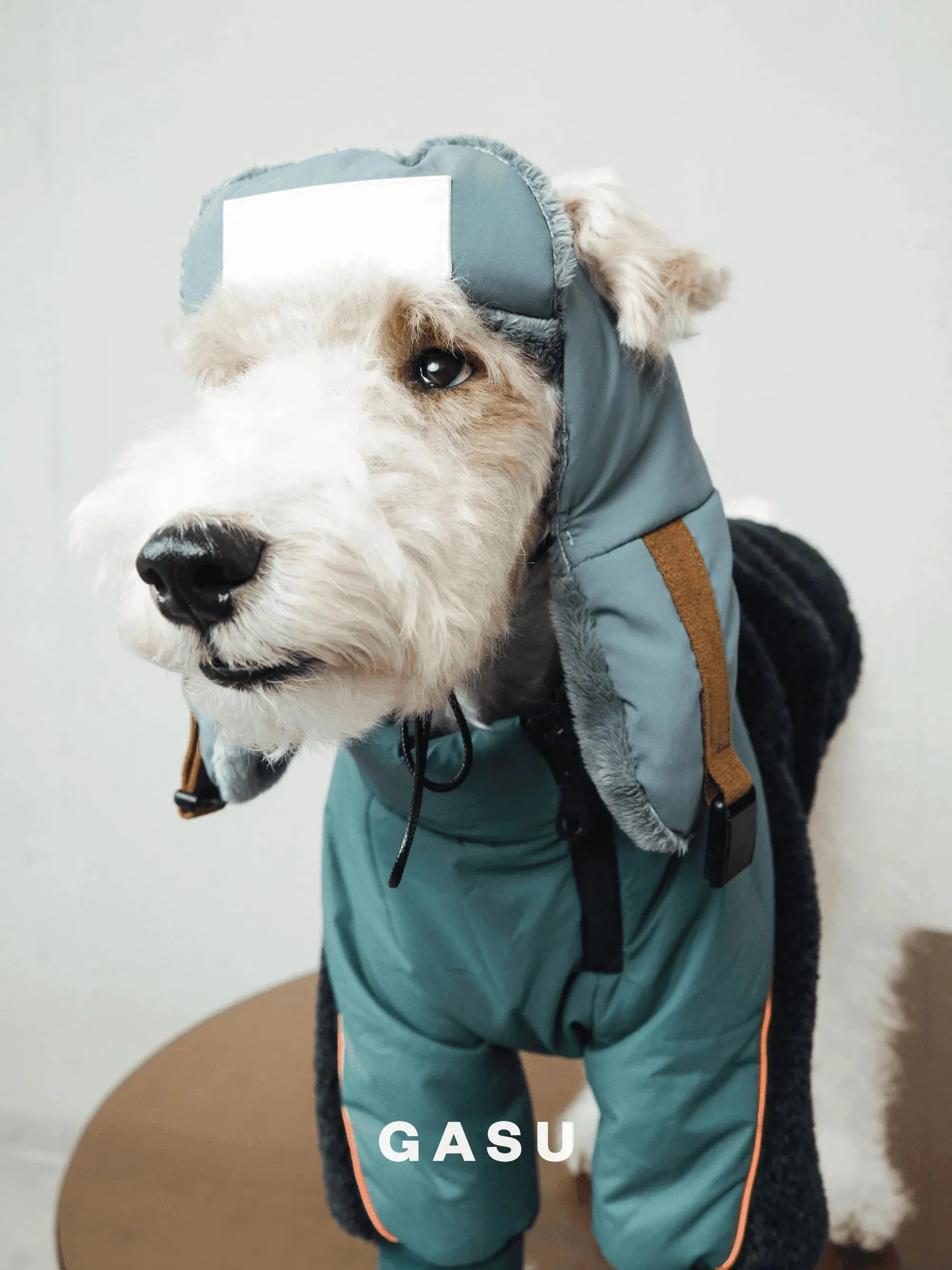 Padded Fleece Lined Aviator Dog Hat