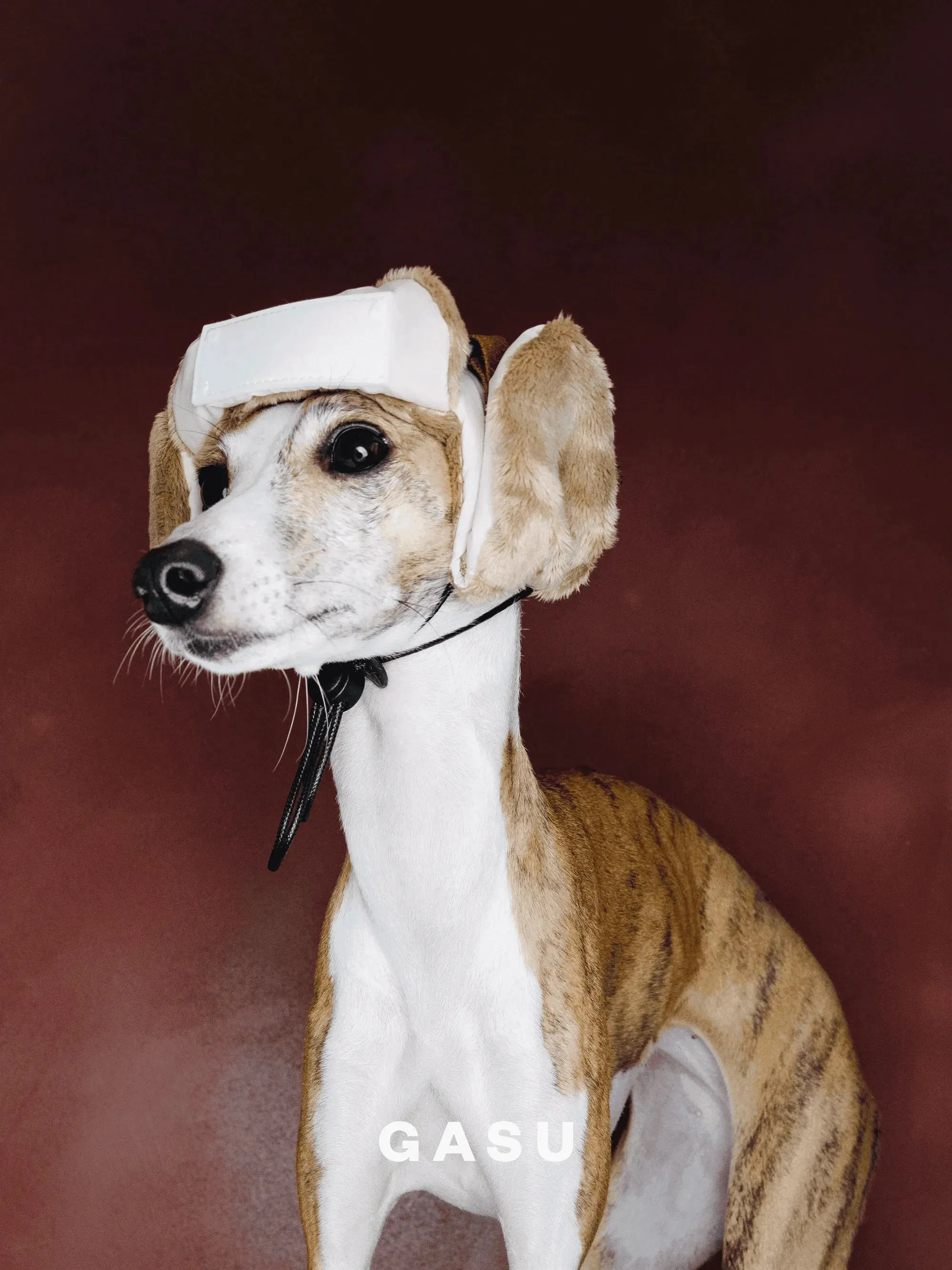 Padded Fleece Lined Aviator Dog Hat