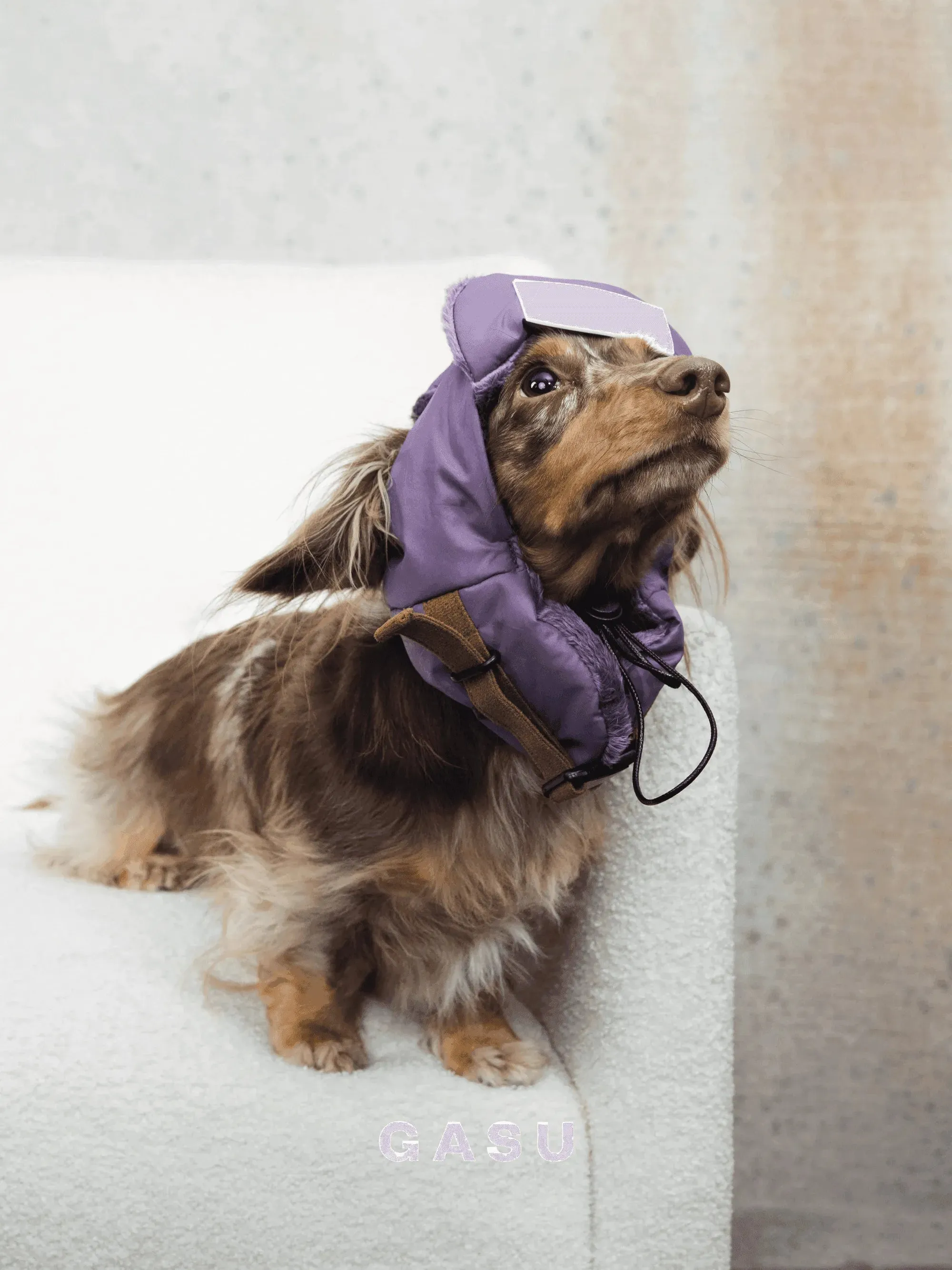 Padded Fleece Lined Aviator Dog Hat
