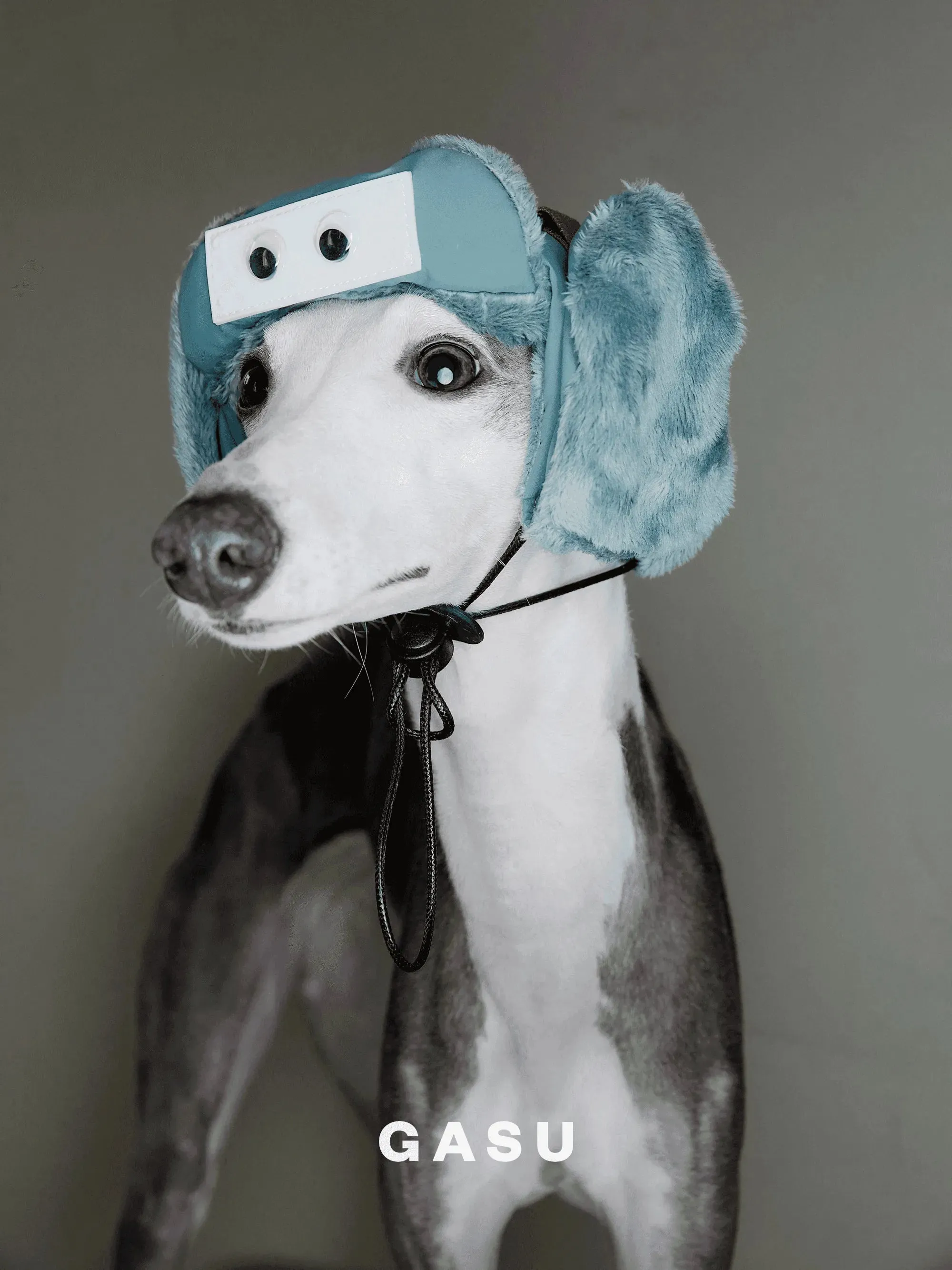 Padded Fleece Lined Aviator Dog Hat