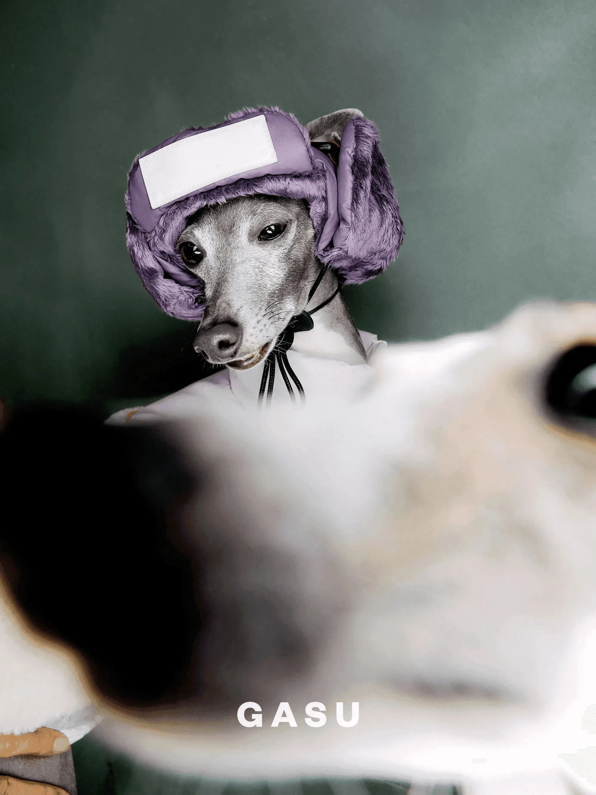 Padded Fleece Lined Aviator Dog Hat