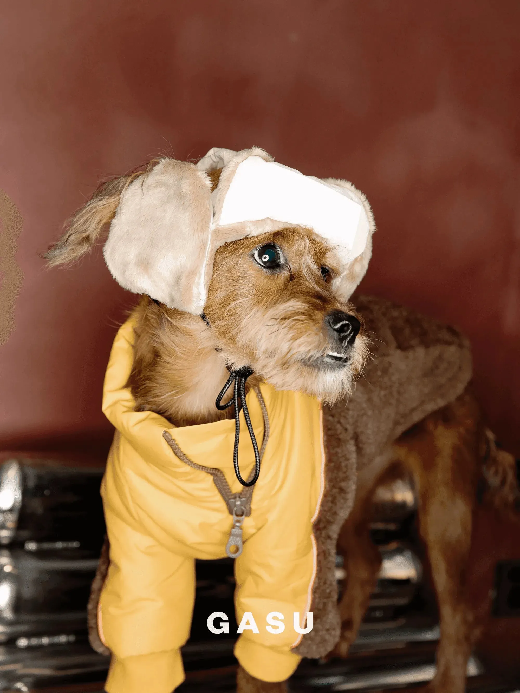 Padded Fleece Lined Aviator Dog Hat