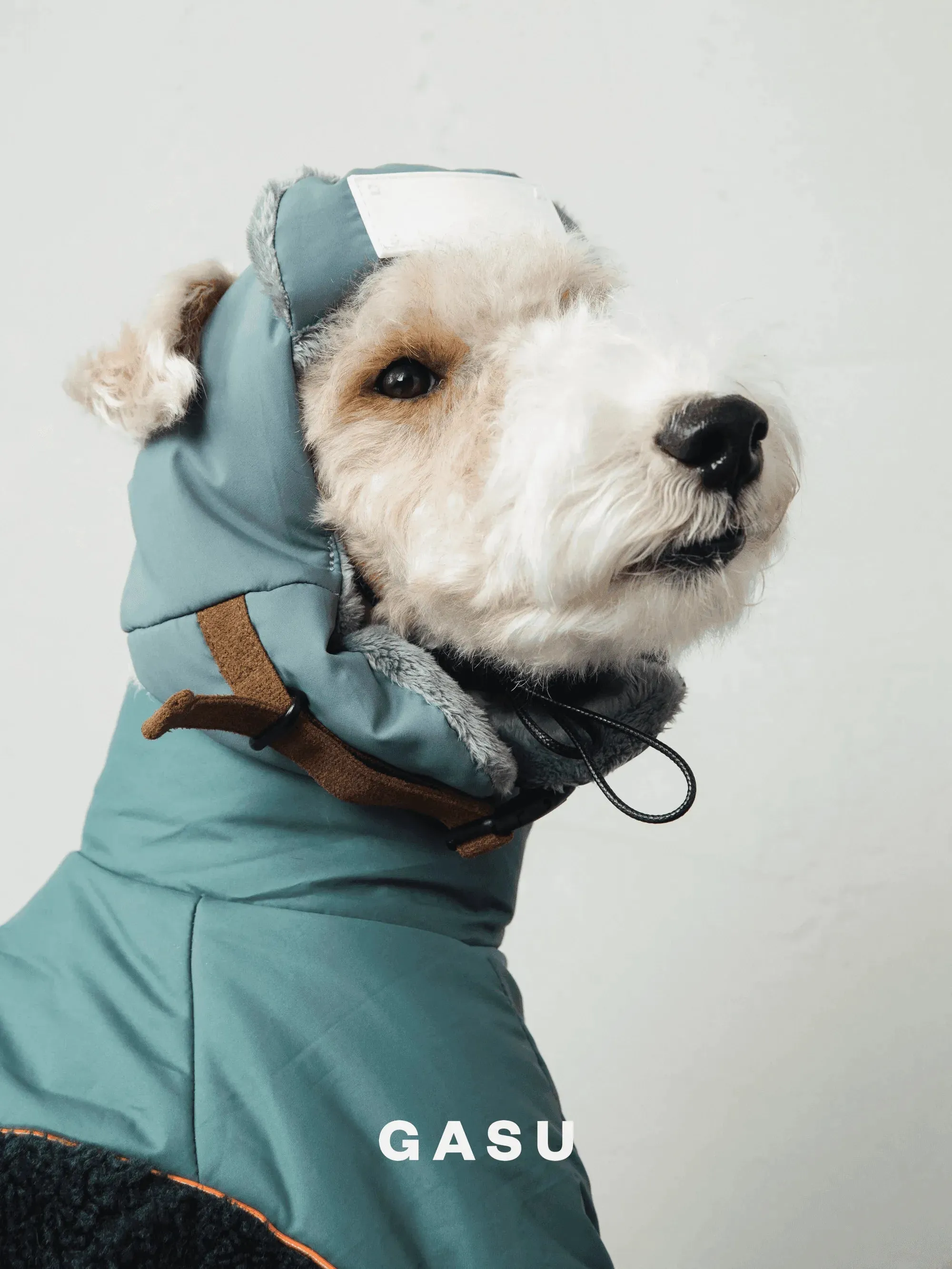 Padded Fleece Lined Aviator Dog Hat