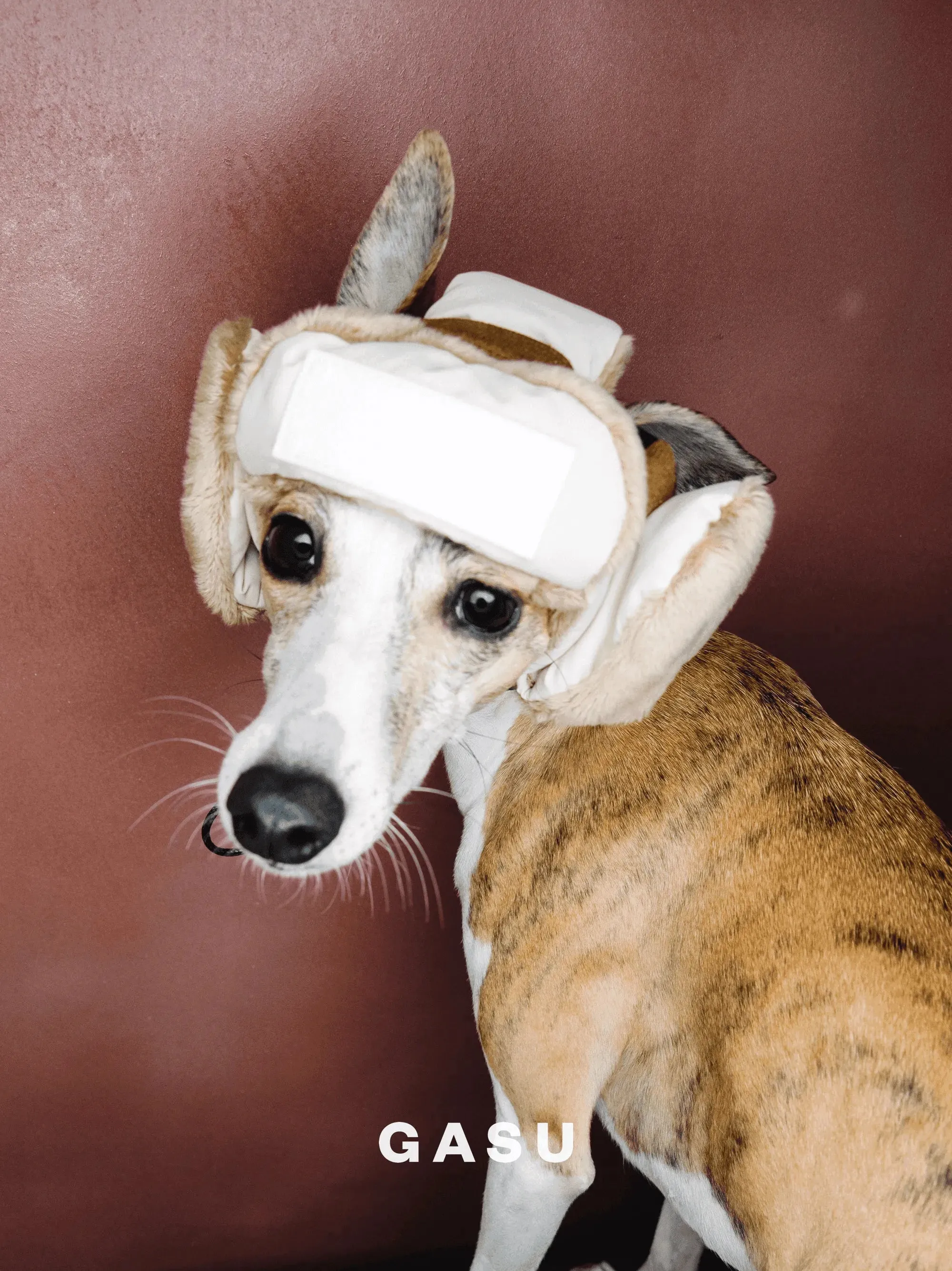 Padded Fleece Lined Aviator Dog Hat