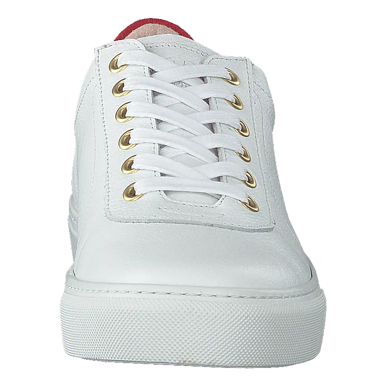 Sun White