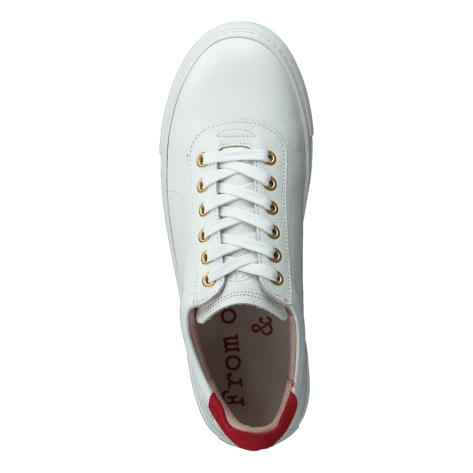 Sun White
